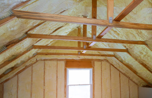 Best Insulation Maintenance and Repair in Ladera, CA