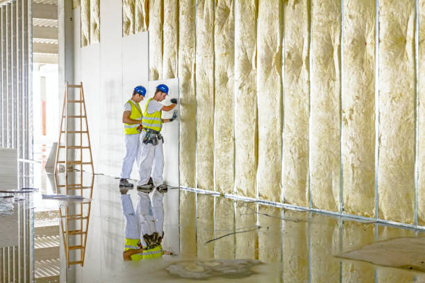 Best Commercial Insulation in Ladera, CA